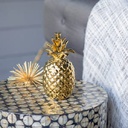 Pineapple Accent Evergreen A429-1749