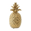 Pineapple Accent A429-1749