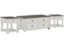 Ashley Cocktail Table Set ( 1 Cocktail Table &amp; 2 End Table ) T377